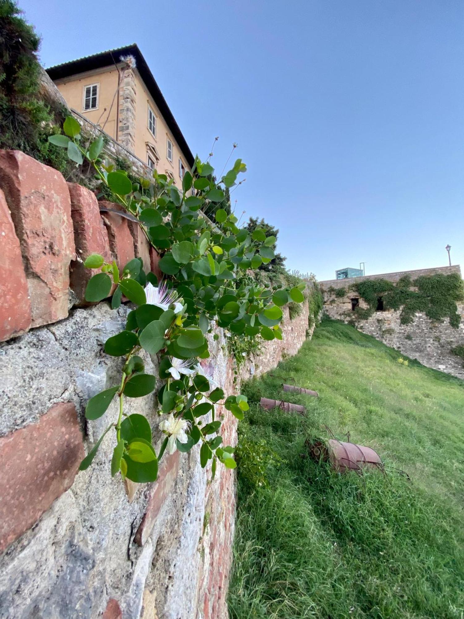 La Torre Di Canonica Colle di Val d'Elsa Exterior foto